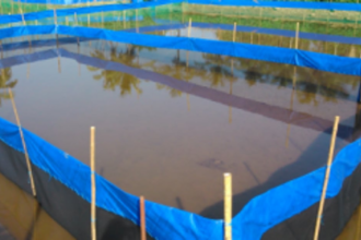 Locals to oppose leasing out Art Shrimp & Fin fish hatchery in Benaulim