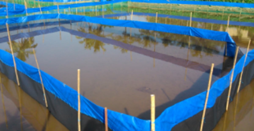 Locals to oppose leasing out Art Shrimp & Fin fish hatchery in Benaulim