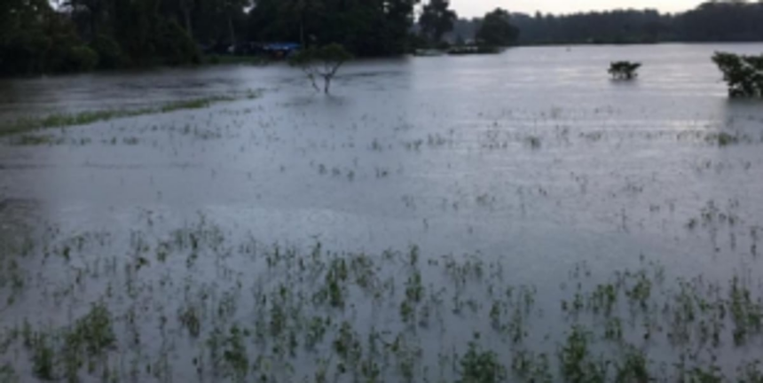 Locals urge govt to check flooding of fields along Western Bypass in Nuvem 1 Locals urge govt to check flooding of fields along Western Bypass in Nuvem
