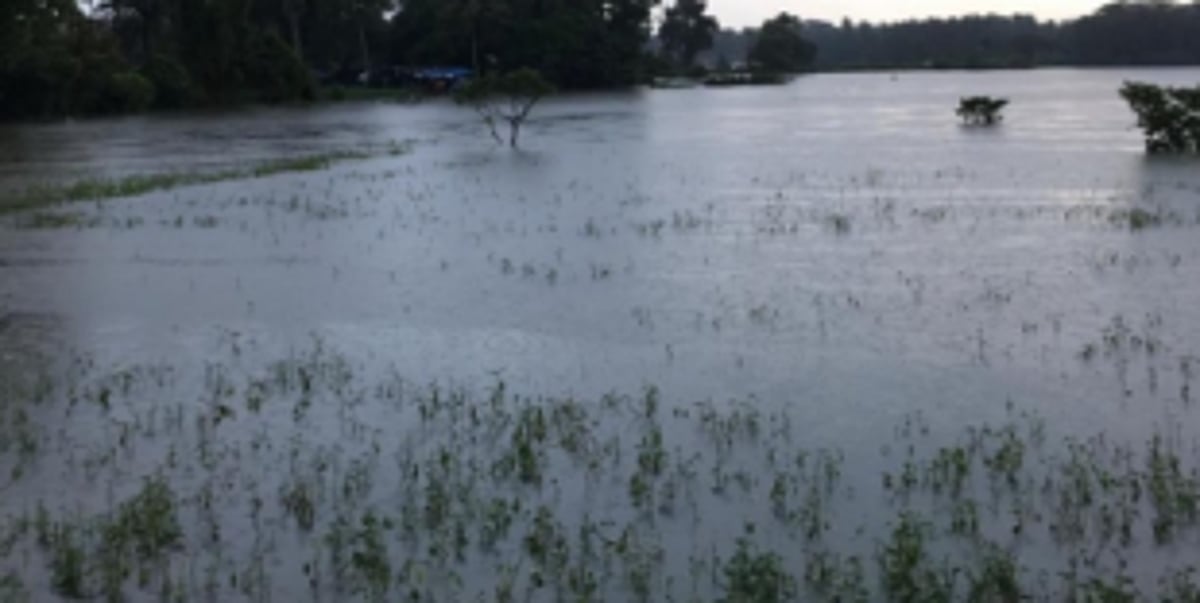 Locals urge govt to check flooding of fields along Western Bypass in Nuvem