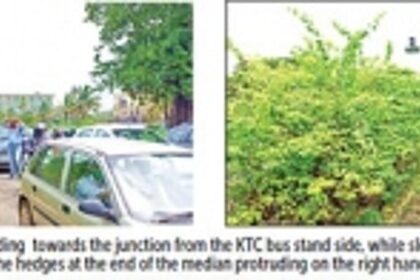 Locals want hedges on road medians around Margao’s old market junction trimmed