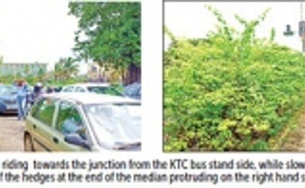 Locals want hedges on road medians around Margao’s old market junction trimmed