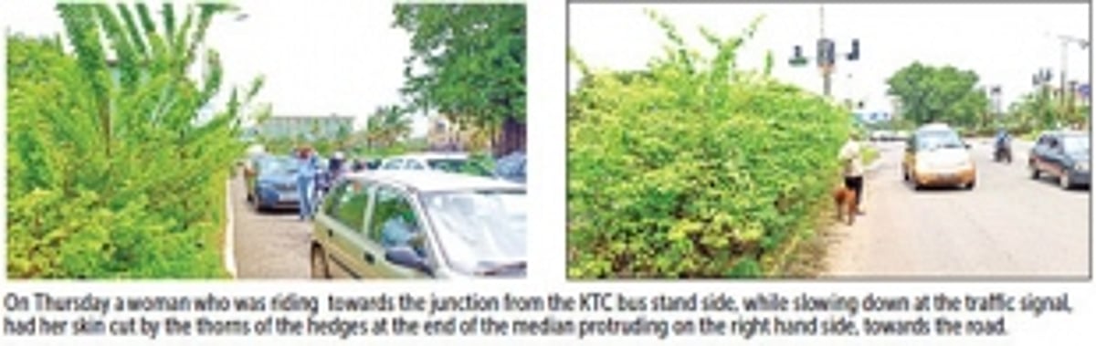 Locals want hedges on road medians around Margao’s old market junction trimmed