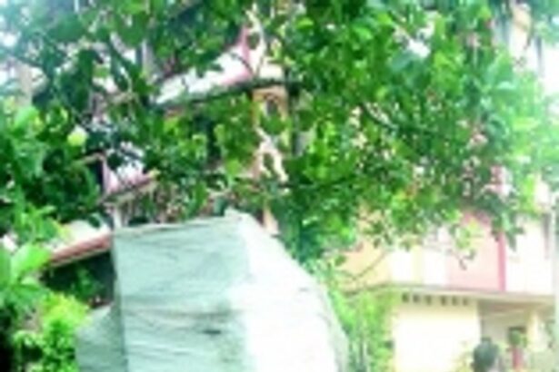 Locals want removal of underground cable transformer erected on rain water drain at Dhavalim