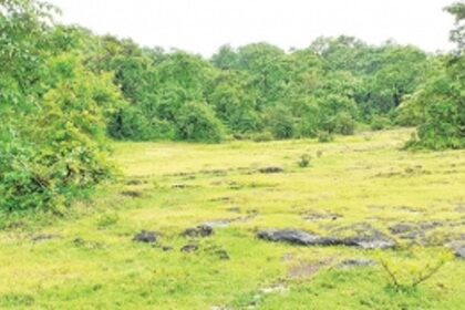 Locals welcome shifting of IIT to  Murmune, demand jobs in project