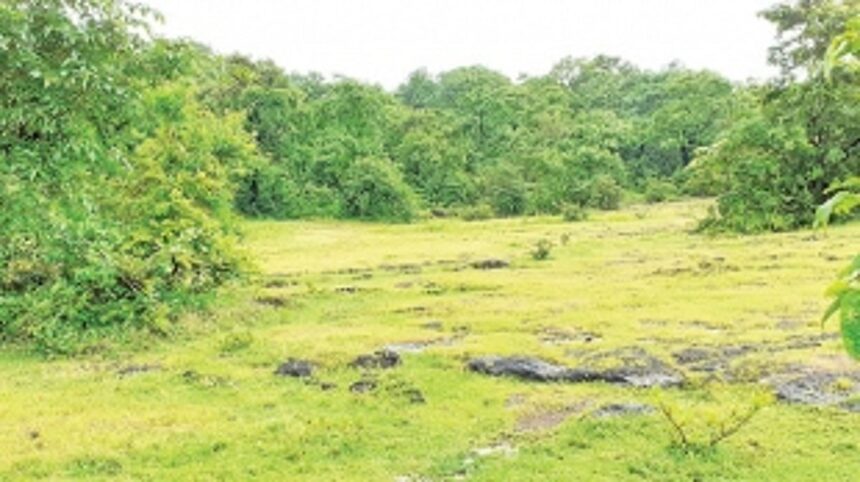 Locals welcome shifting of IIT to  Murmune, demand jobs in project