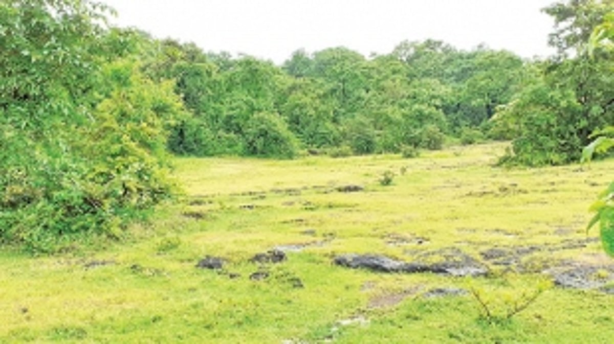 Locals welcome shifting of IIT to  Murmune, demand jobs in project