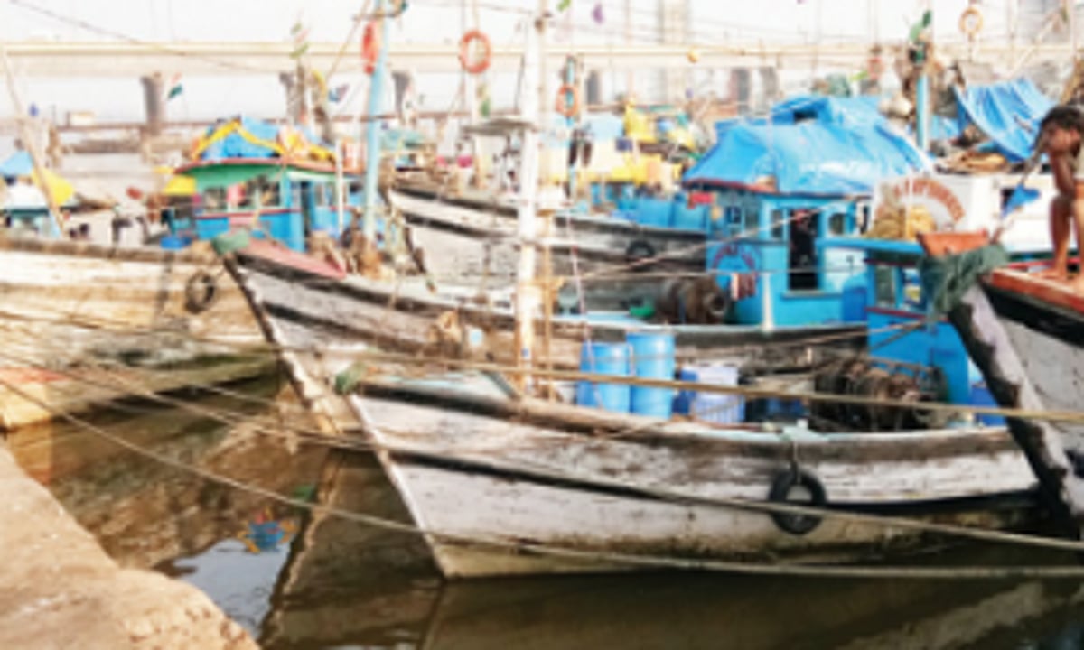 Lockdown hits State  fishing industry