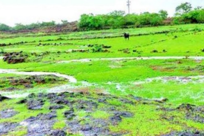Loliem Locals Rise Against Film City Project on Bhagwati Plateau