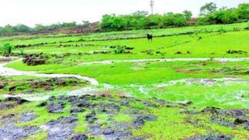 Loliem Locals Rise Against Film City Project on Bhagwati Plateau 1 Loliem Locals Rise Against Film City Project on Bhagwati Plateau
