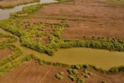 Loutolim Farmers Hopeful After High Court Ruling on Town and Country Planning Act Amendments