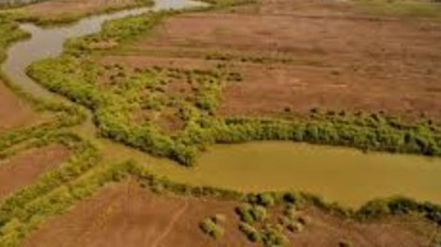 Loutolim Farmers Hopeful After High Court Ruling on Town and Country Planning Act Amendments 1 Loutolim Farmers Hopeful After High Court Ruling on Town and Country Planning Act Amendments