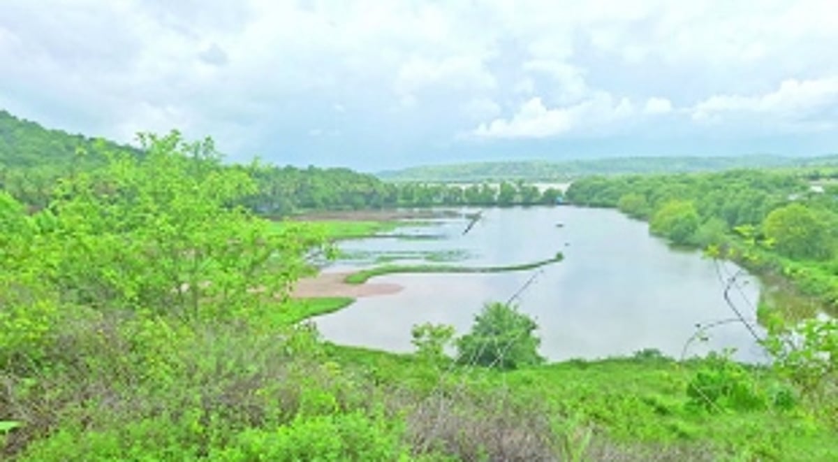 Loutolim Farmers at crossroads