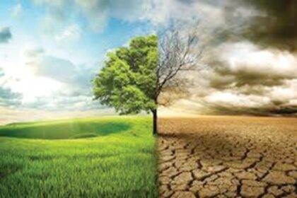 Love and respect nature