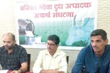 Lumpy Skin Disease scares dairy farmers in Sattari, Ponda