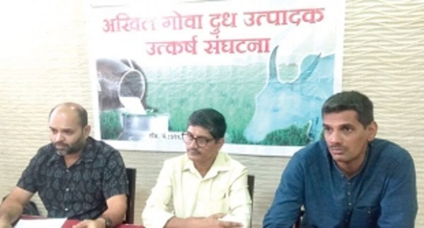 Lumpy Skin Disease scares dairy farmers in Sattari, Ponda