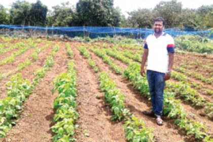 M Tech degree holder returns to his roots – agriculture
