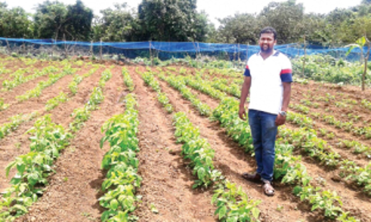 M Tech degree holder returns to his roots – agriculture