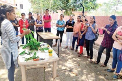 MAKING GOA GREENER, ONE GARDEN AT A TIME