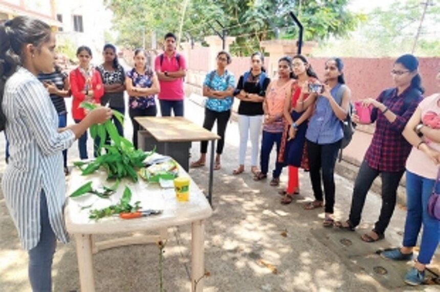MAKING GOA GREENER, ONE GARDEN AT A TIME