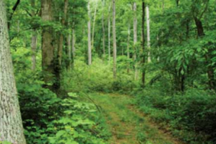 MAN’S FOLLY, NATURE’S  FURY, GOD’S MERCY