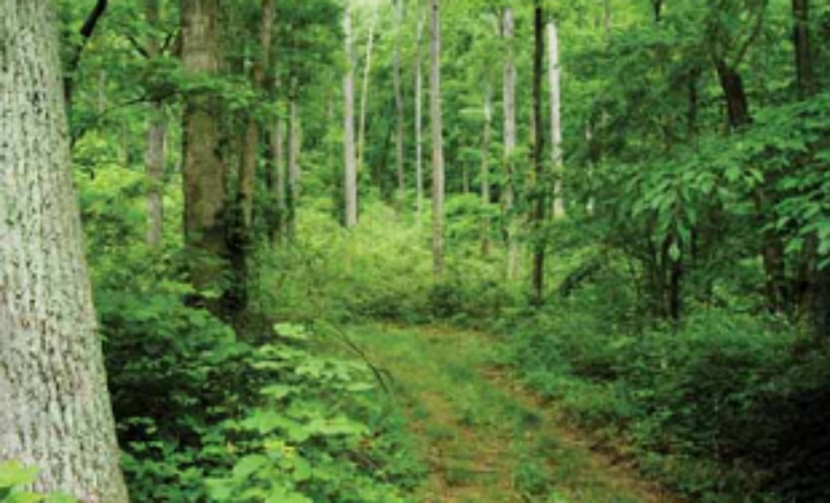 MAN’S FOLLY, NATURE’S  FURY, GOD’S MERCY