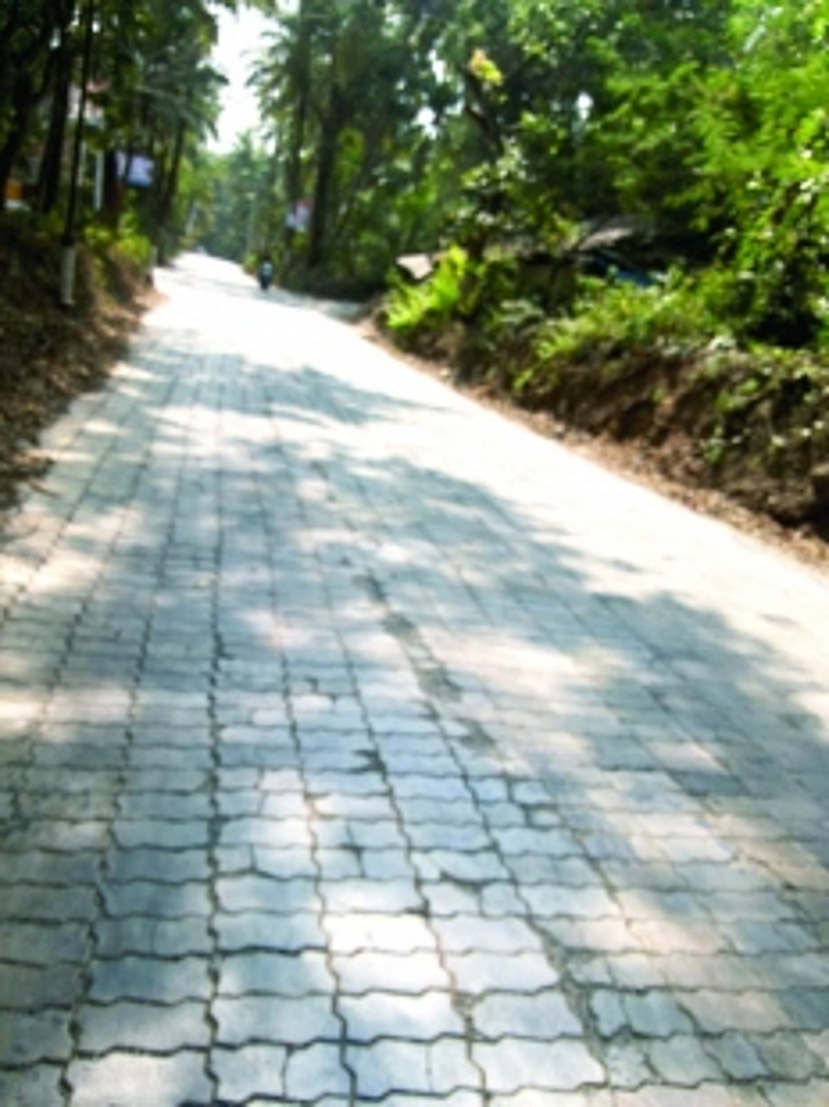 MDR road of pavers