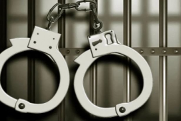 MGP condemns Dr Bhatikar’s arrest