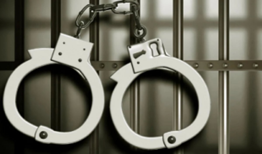 MGP condemns Dr Bhatikar’s arrest