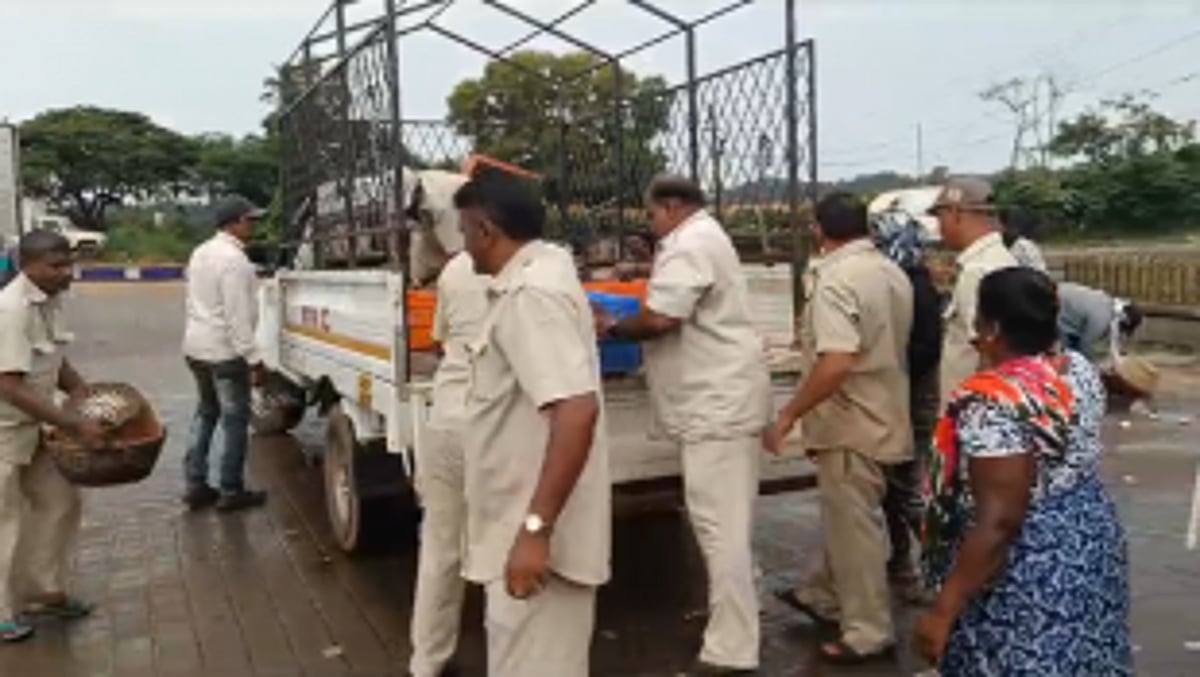 MMC, SGPDA Staff Crack Down on Fish Vendors Outside Wholesale Market