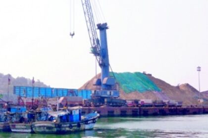 MMC chief asks MPT to stop stacking woodchips