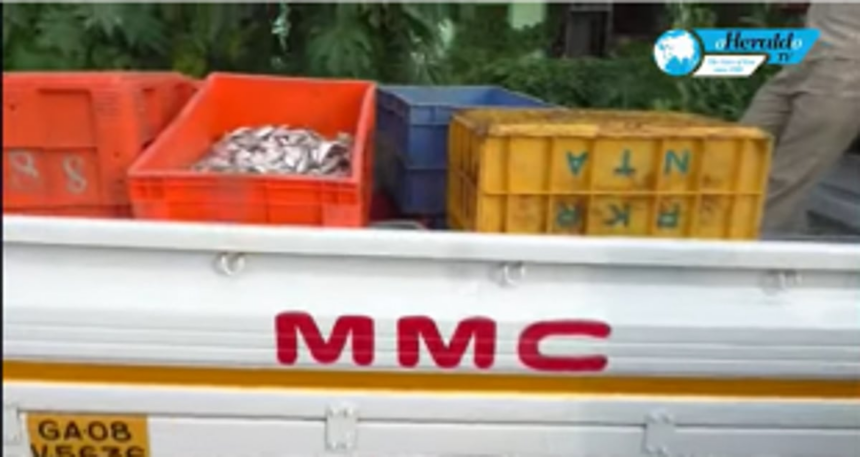 MMC cracks whip on vendors selling rotten fish