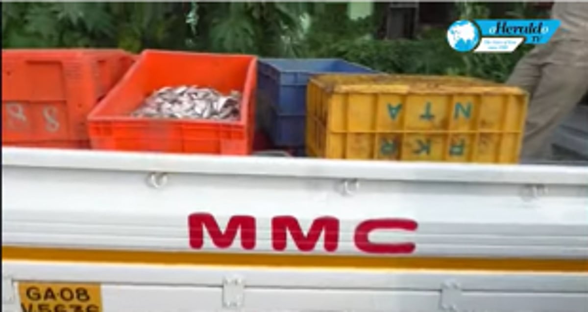 MMC cracks whip on vendors selling rotten fish