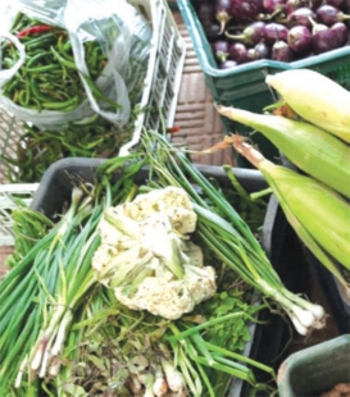 MMC evicts illegal roadside vendors; donates fish, veggies to orphanages