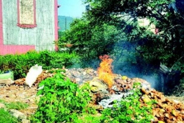 MMC struggles to tackle garbage burning on roadsides
