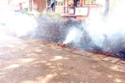 MMC’s new headache — leaves, twigs & foliage