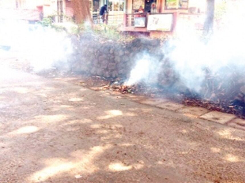 MMC’s new headache — leaves, twigs & foliage