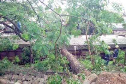 MPT compound wall collapses on stationary rail wagons