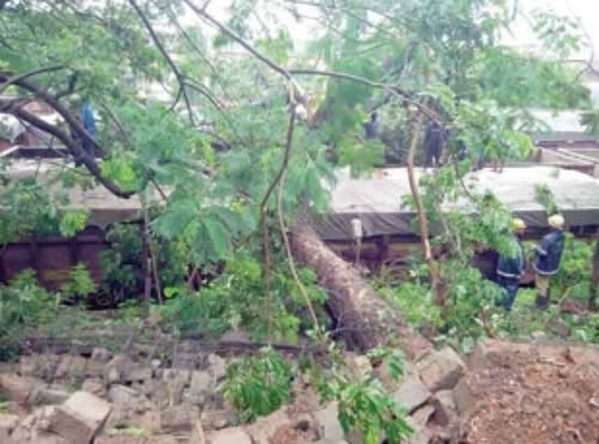 MPT compound wall collapses on stationary rail wagons