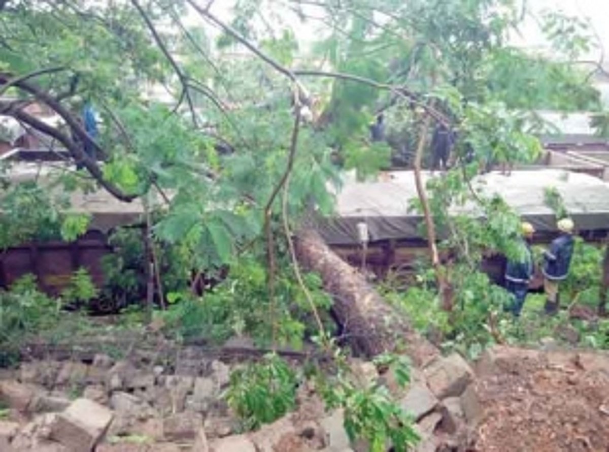 MPT compound wall collapses on stationary rail wagons