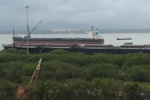 MPT now handles coal from a cargo ship, alleges activist