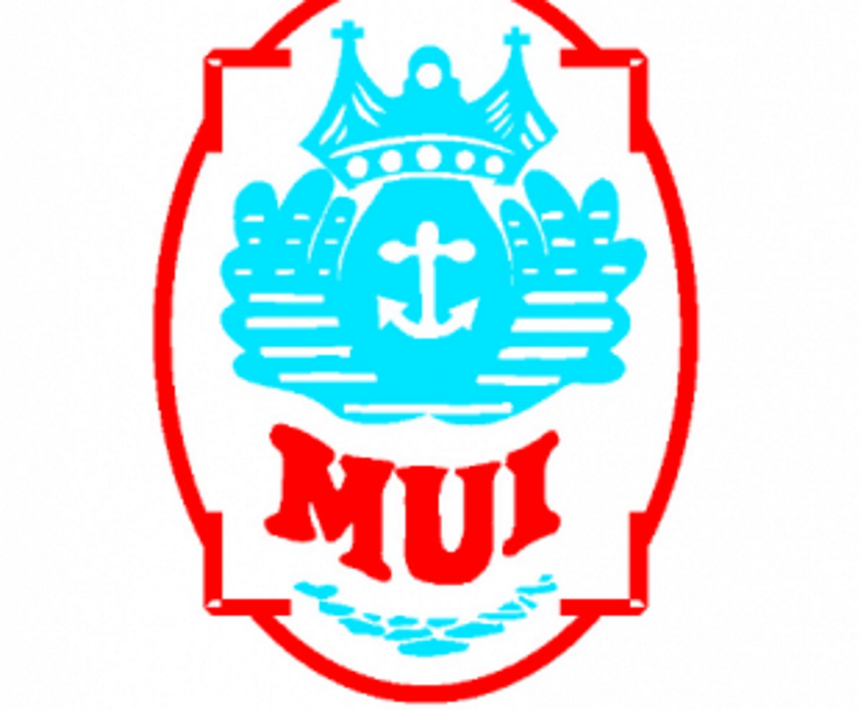 MUI’s first webinar  focuses on mentoring