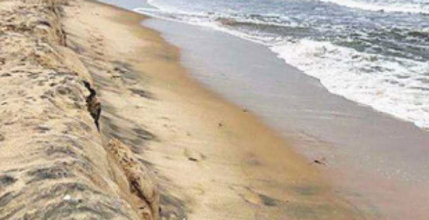 Macazana rejects CZMP draft, demands remake after consulting stakeholders