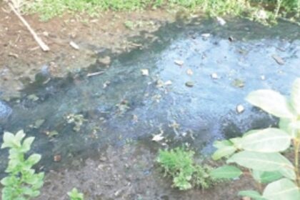 Maddel locals demand check on sewage release in River Sal