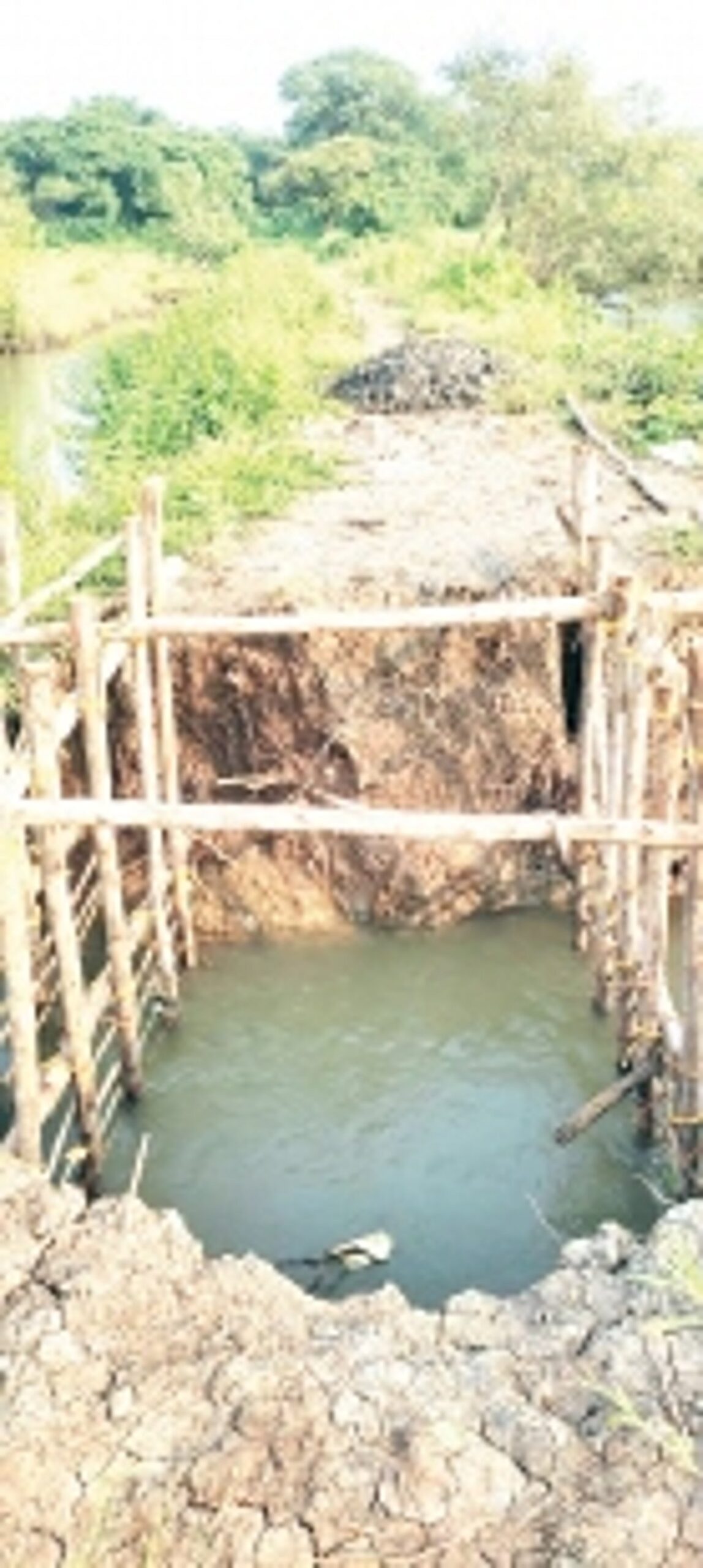 Madkai farmers sunk as paddy crop is submerged underwater for 20 days due to breach in bandhara