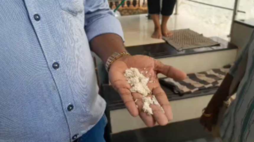 Maggot-Infested Rice Distribution Sparks Outrage in Davorlim-Dicarpale Village