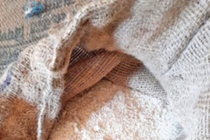 Maggot-infested rice not fit to feed animals: Fair Price Shops Association