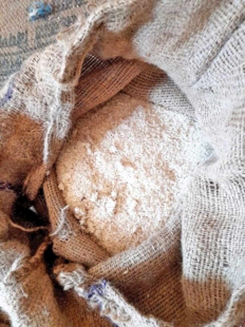 Maggot-infested rice not fit to feed animals: Fair Price Shops Association