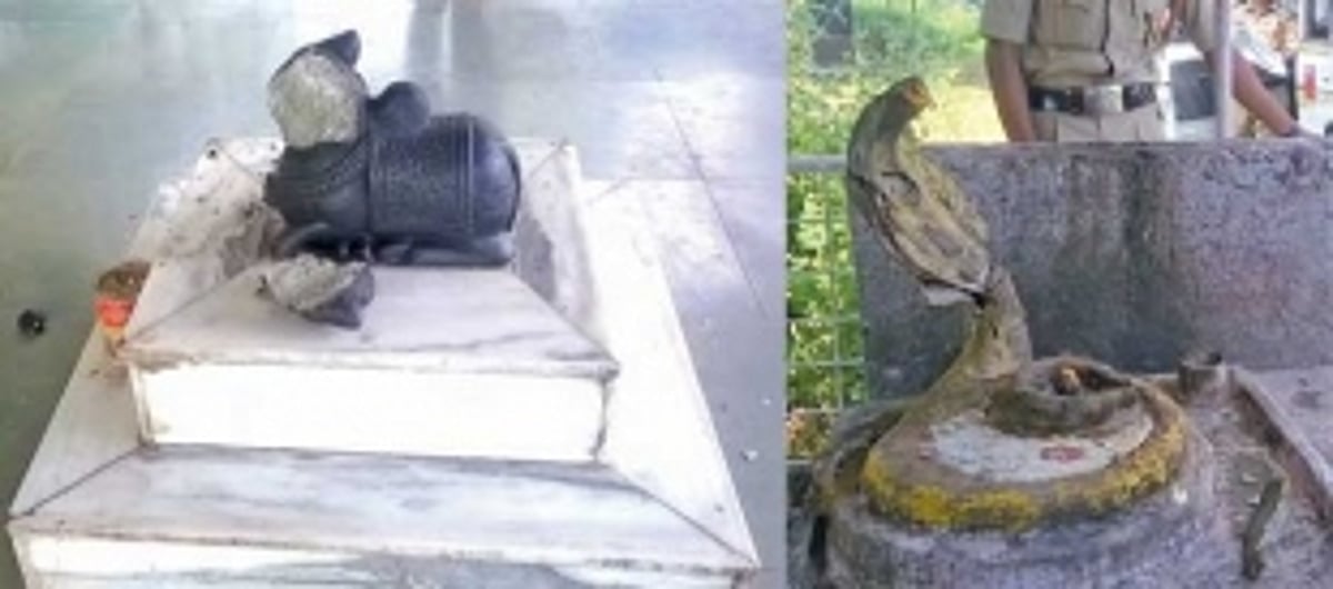 Mahadev temple at Curca desecrated