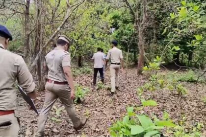 Maharashtra native arrested for accidentally shooting colleague while hunting